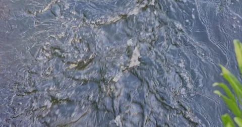 Rushing river water flowing in stream from overhead view Фото