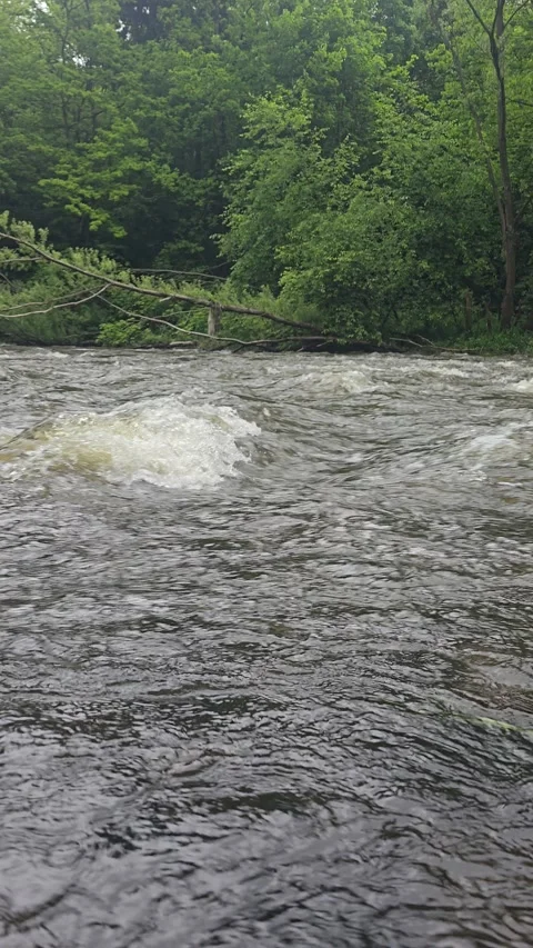 Rushing River Wild Mountain Stream in Motion Stock Footage 312442514
