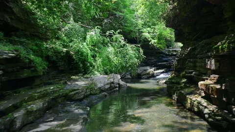 A rushing rocky creek flows through a lush green forest in Paradise, Tennessee Stock-Footage 340155215