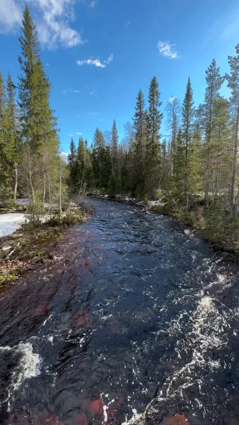 Rushing Spring River in Sweden Stock Footage 276188585