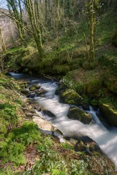 Rushing stream between mossy limestone rocks Stock Photos