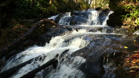 Rushing stream cascading down a mountain 스톡 동영상 320481324