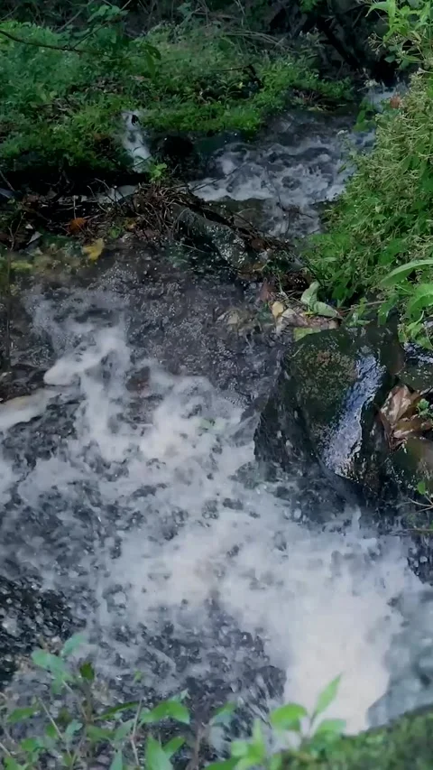 Rushing stream cascading over rocks in a lush green forest Stockbeeldmateriaal 334443097