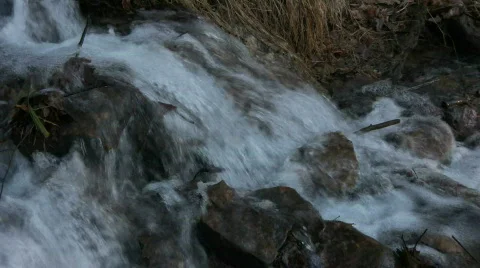 Rushing Stream Closeup Stock Footage 841221