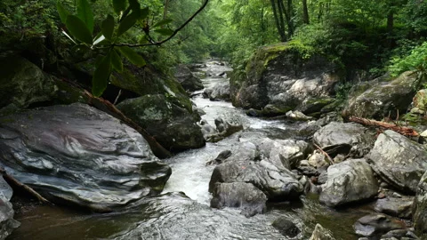 Rushing stream flows down the mountain Stock-Footage 313360317