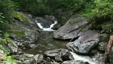 Rushing stream flows down the mountain 動画素材 313360331