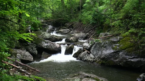 Rushing stream flows down the mountain 스톡 동영상 313361196