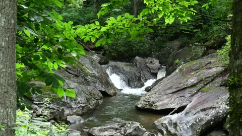 Rushing stream flows down the mountain Stock-Footage 313361197