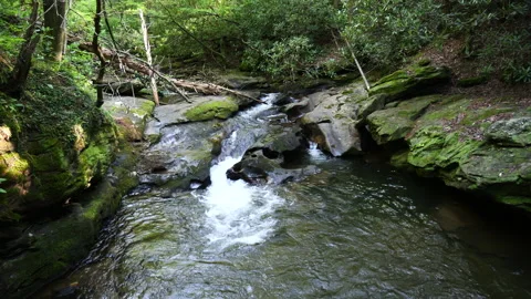 Rushing stream flows down the mountain Видео 313504045