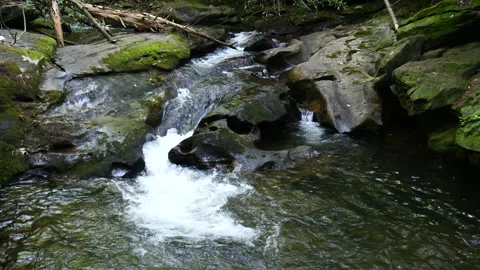 Rushing stream flows down the mountain Видео 313504135
