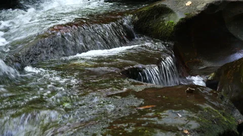 Rushing stream flows down the mountain Stock-Footage 313504137