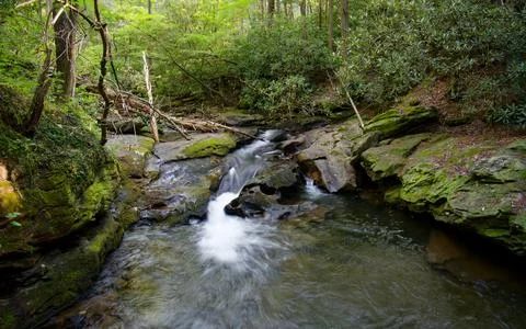 Rushing stream flows down the mountain Stock Photos