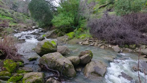 A rushing stream flows through mossy boulders Stock Footage 336985503