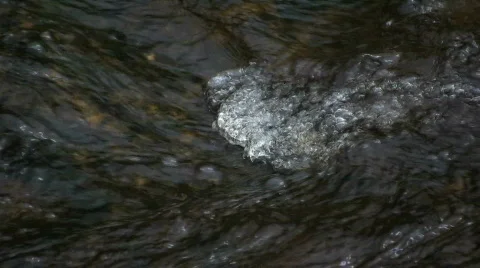 Rushing stream Stock-Footage 95212