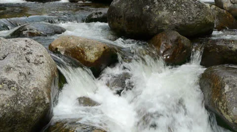 Rushing Stream Video stock 25885473