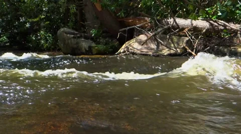 Rushing Stream Stock Footage 36544390