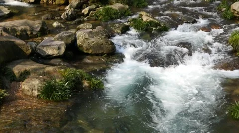 Rushing Stream Stock Footage 45153700