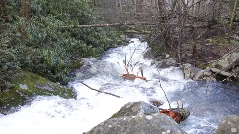 Rushing stream 動画素材 87742702