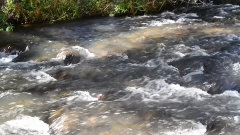Rushing Stream Stock Footage 112833064