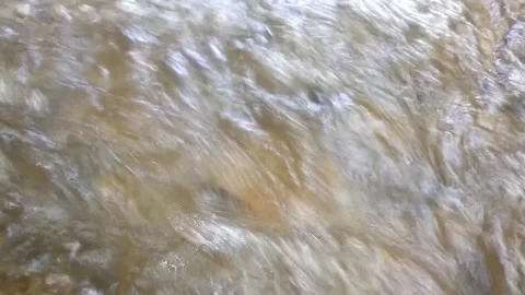 The Rushing Stream Vídeo Stock 334663091
