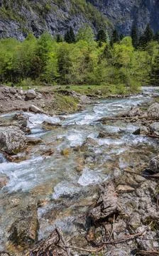 The rushing stream of the Gega river in springtime flows along a rocky riverbed. Stock Photos
