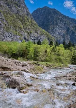 The rushing stream of the Gega river in springtime flows along a rocky river. Stock Photos
