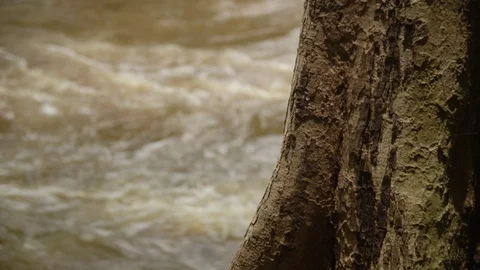 Rushing stream on a mountain Stock Footage 80444884