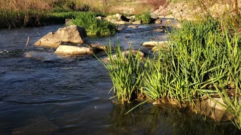 Rushing stream or brook with sunset light 動画素材 130765646