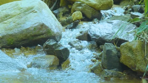 Rushing Stream Over Sunlit Rocks: A Refreshing Jungle Scene Stock Footage 281557930