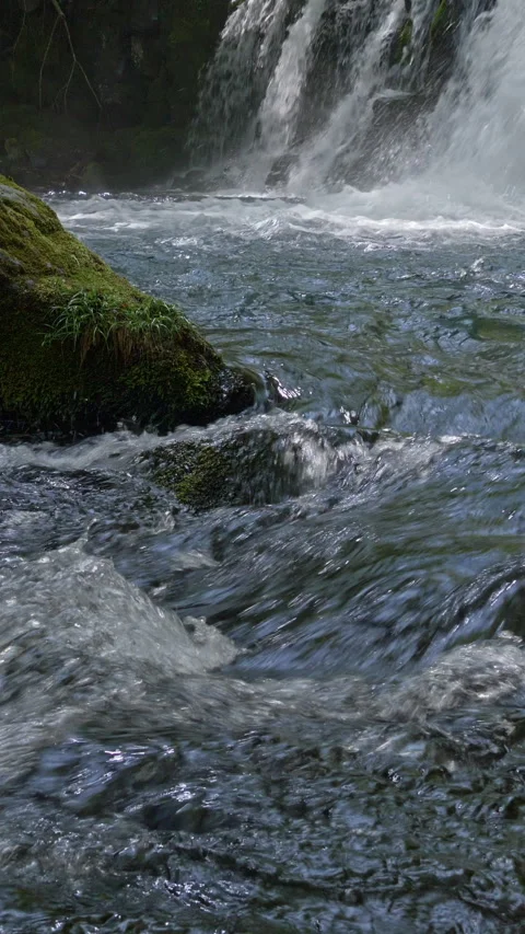 Rushing Stream Past Mossy Boulder Vertical Video Vidéo 346073536