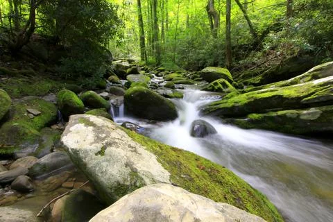 Rushing Stream Stock Photos