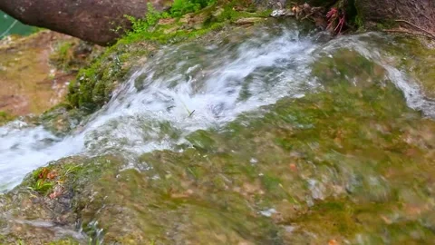Rushing Stream, River Stock Footage 219577760