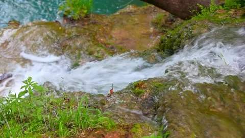 Rushing stream, River Stock Footage 219584601