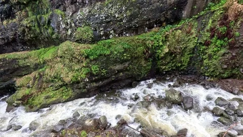 Rushing Stream in Rocky Gorge, Madeira Portugal Stock Footage 339775893