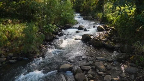 Rushing stream in volcanic highlands Stock Footage 88827638