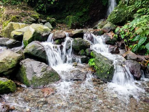 A Rushing Stream Of Water Flows Down The Mossy Rocks Stock Photos