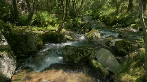 Rushing Streams Of Rio Cerves As Mestas In The Province of Ourense In Melon Stock Footage 311971363