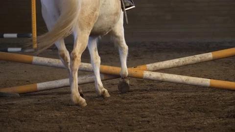 Rushing Through the Challenge: Colt and Jockey over Obstacle Video stock 237692017
