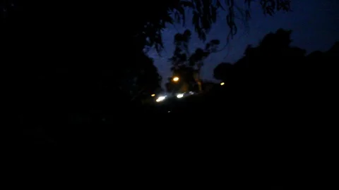 Rushing through the forest at night Stock Footage 78842400