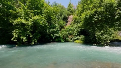 Rushing Turquoise River Flowing Through Lush Green Forest Stock Footage 337699534
