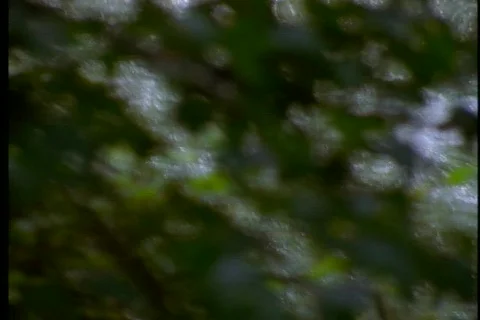 Rushing water 1 Stock Footage 493101