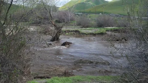Rushing Water After Heavy Rainfall Stock Footage 236080844