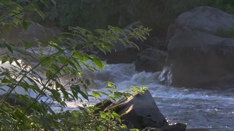 Rushing water between large rocks in a rapids Stock Footage 338305322