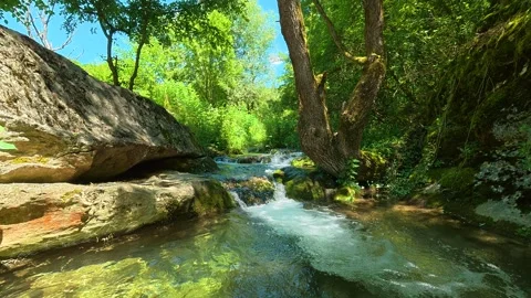 Rushing water creates white foam around moss. Gradasnica River Canyon, Serbia 库存影片 342320660