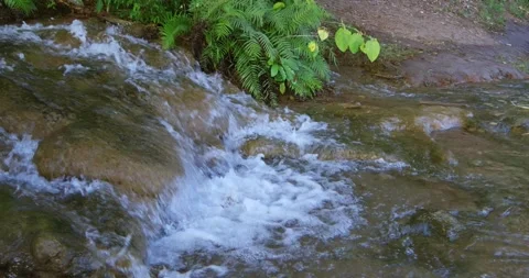 Rushing water flow serene stream nature scene outdoor environment close-up view Stock Footage 329219316