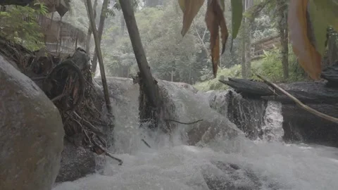 Rushing Water Flowing Over Fallen Tree Trunk in River Stock Footage 345471239