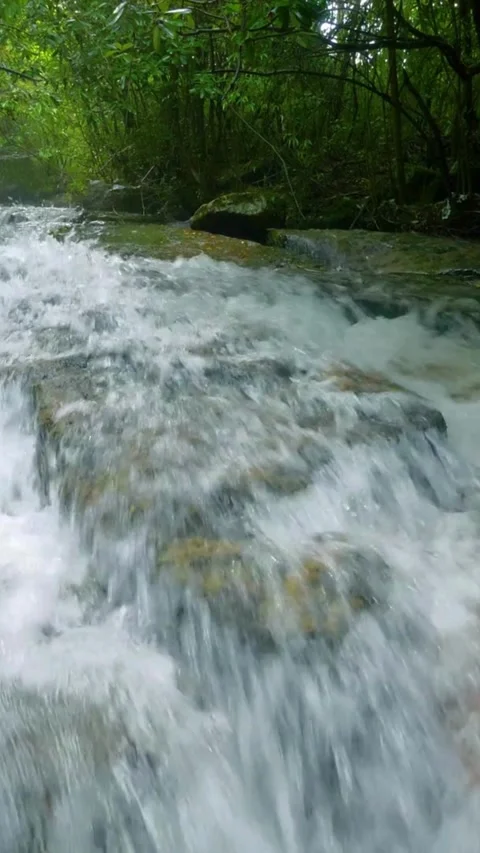 Rushing water flowing over rocks in a green forest Video stock 331991841