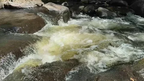 Rushing Water Flowing Over Rocks in Black River, New Jersey Stock Footage 340985839