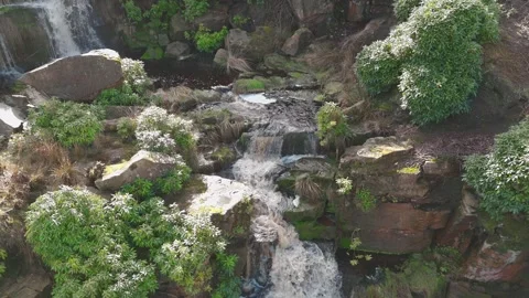 Rushing water flows over mossy rocks 스톡 동영상 342937453