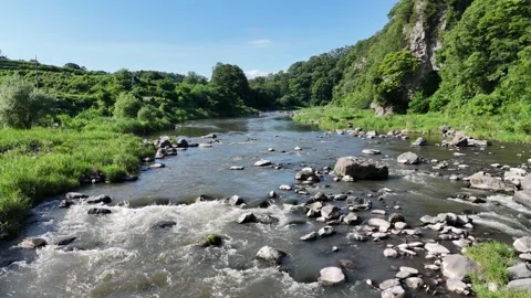 Rushing water flows over smooth stones in a green valley Stock Footage 340904069